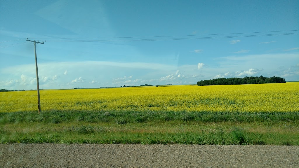 J & B PILOT SERVICES | Post Office, Denholm, SK S0M 0R0, Canada | Phone: (306) 441-4552