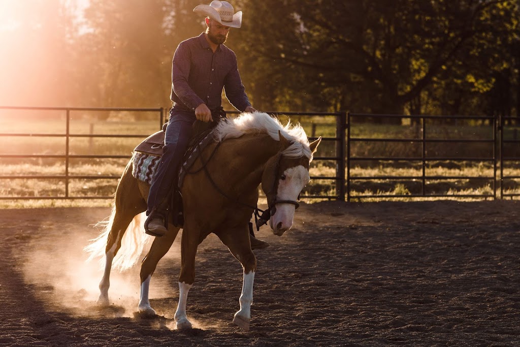 Jim Greendyk Performance Horses | 49815 Chilliwack Central Rd, Chilliwack, BC V2P 6H3, Canada | Phone: (604) 217-7700