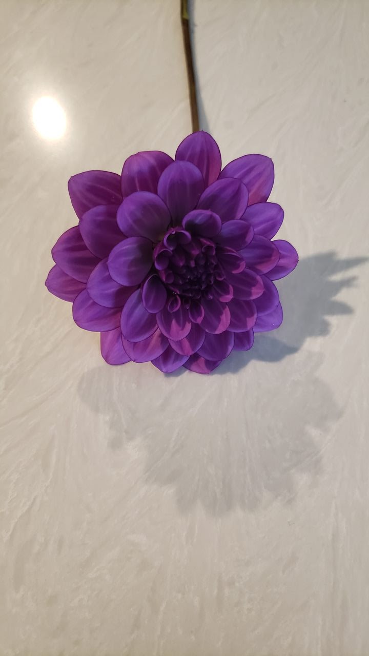 Dragonfly Blossoms | 549 County Rd 42, Havelock, ON K0L 1Z0, Canada | Phone: (705) 933-4334