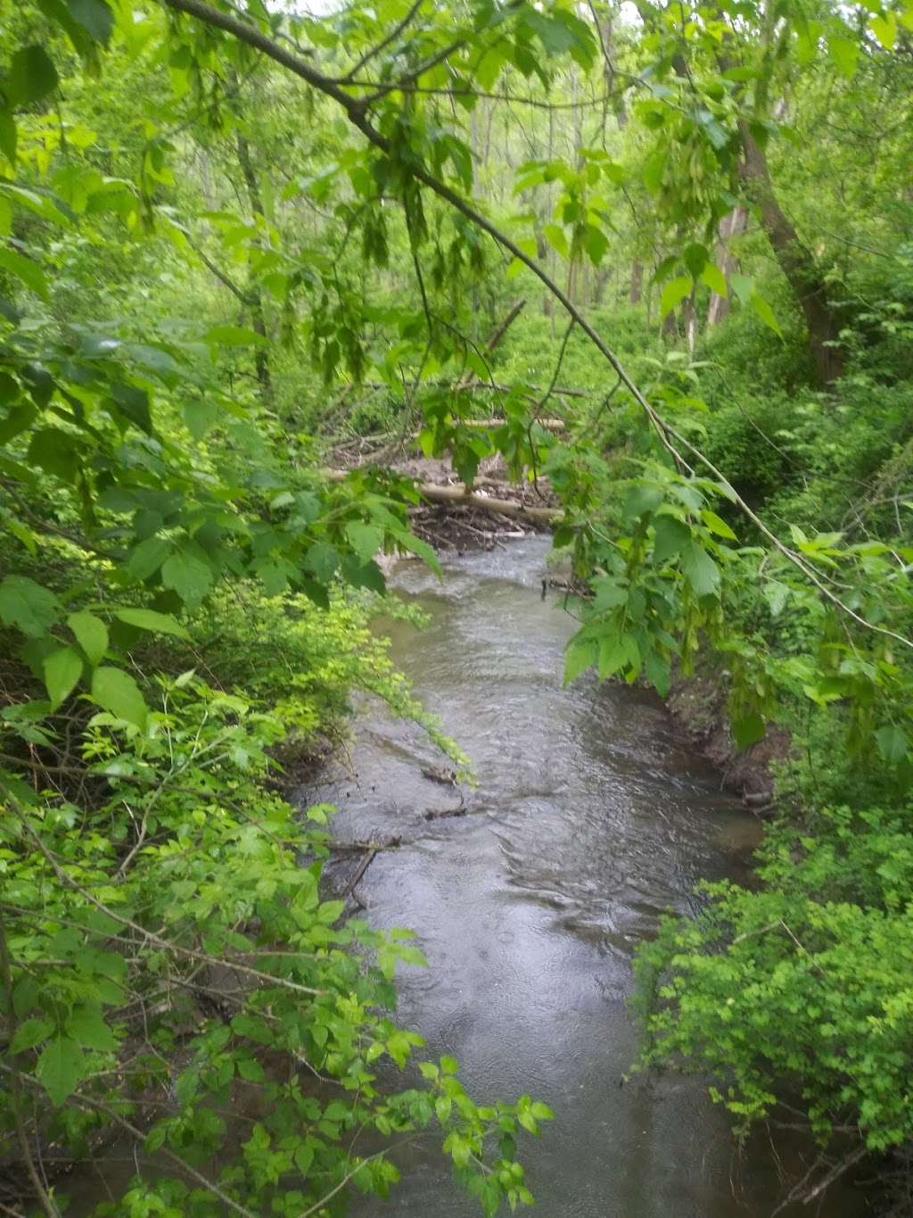 Little John Park | 10 Rogers Rd, Dundas, ON L9H 4E4, Canada | Phone: (289) 887-2174