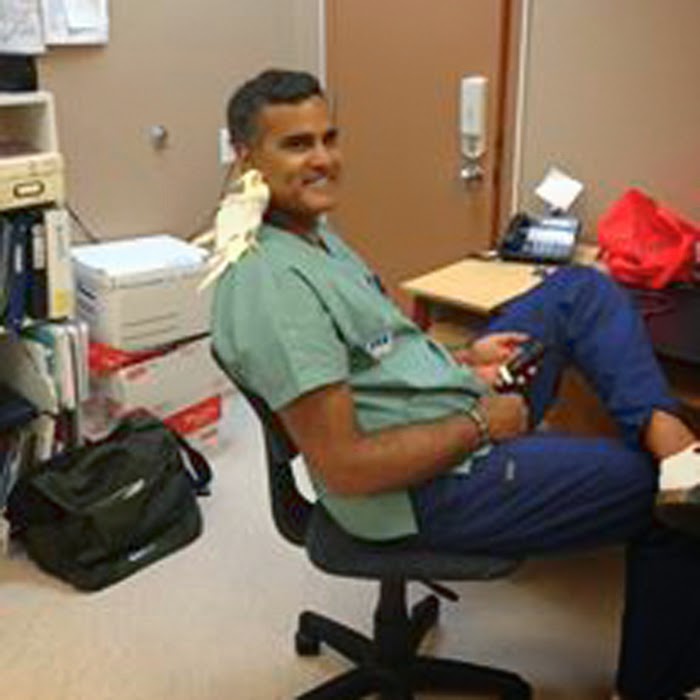 Britannia Kingsland Veterinary Clinic | 7738 Elbow Dr SW, Calgary, AB T2V 0S6, Canada | Phone: (403) 253-7044