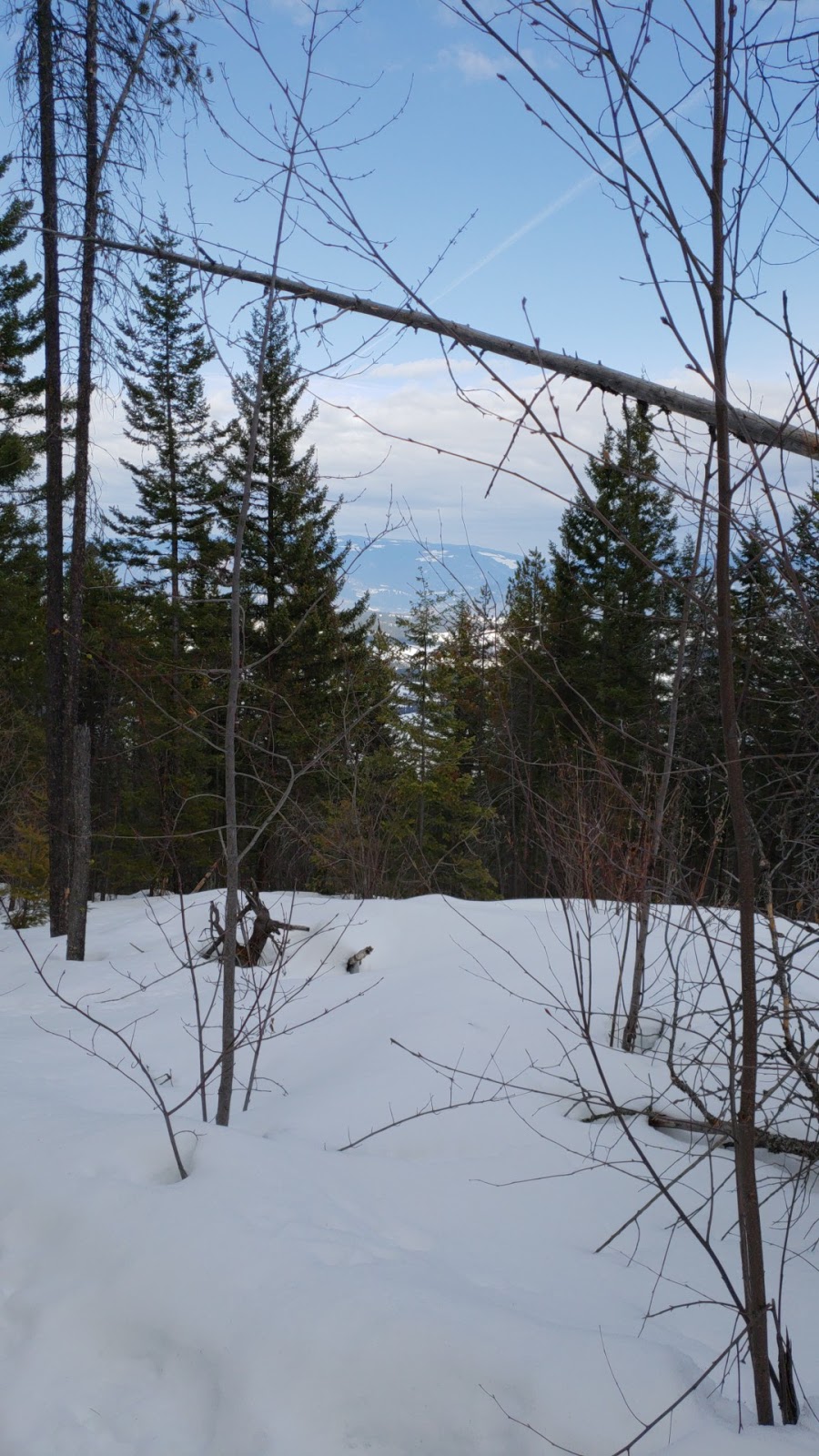 Rose Swanson Hiking Trails | Chamberlaine Rd, Armstrong, BC V0E 1B4, Canada