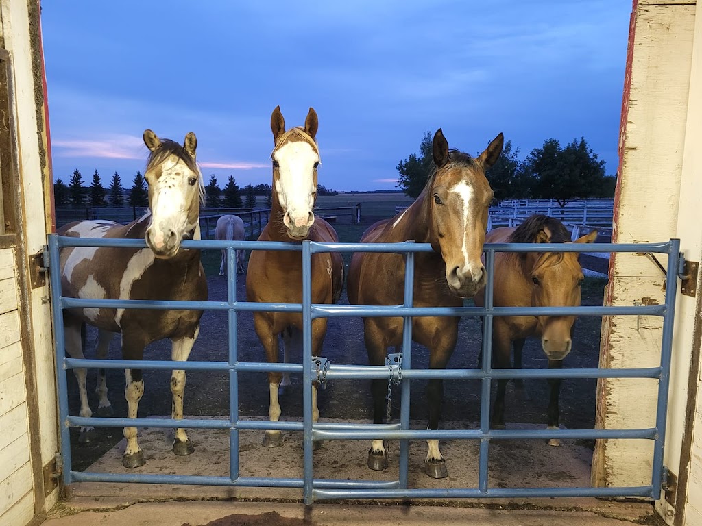 Paradise Acres Ranch | 26212 Township Rd 552, Sturgeon County, AB T8R 2E1, Canada | Phone: (780) 805-6073