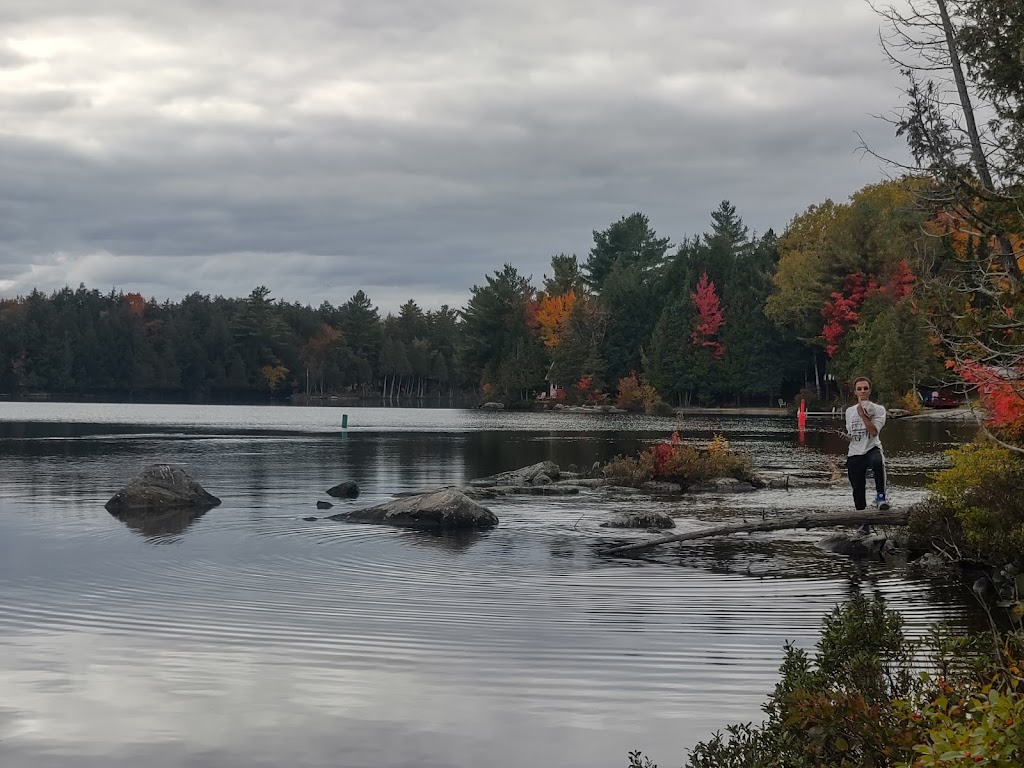 Ahmic Lake Resort | 50 Robinson Dr, Magnetawan, ON P0A 1P0, Canada | Phone: (705) 387-3853