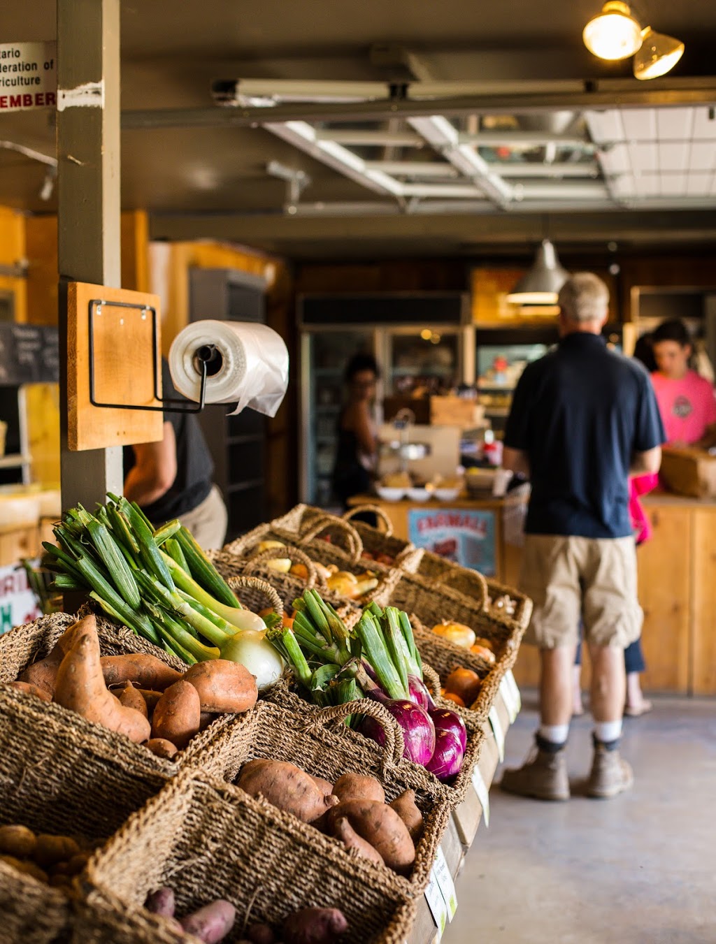Curries Farm Market | 736 Sixth St, Collingwood, ON L9Y 3Y9, Canada | Phone: (705) 445-2005