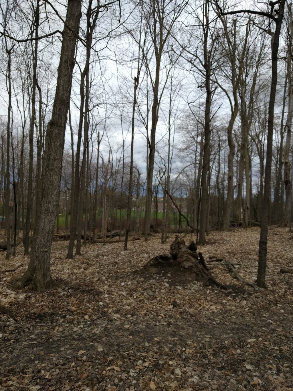 Trailview Park | Forest Heights, Kitchener, ON N2N, Canada | Phone: (519) 741-2345