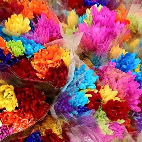Mount Pearl Florist | 160 Trans Canada Hwy, Mount Pearl, NL A1N 2P3, Canada | Phone: (709) 364-4095