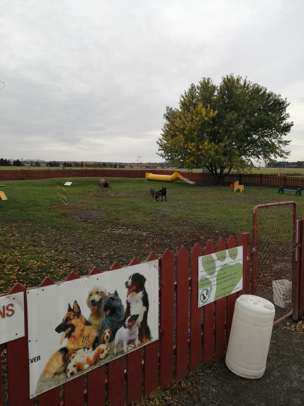 Canine Academy RM | 7570 Chemin du Rapide-Plat N, Saint-Hyacinthe, QC J2S 8B1, Canada | Phone: (450) 799-6500