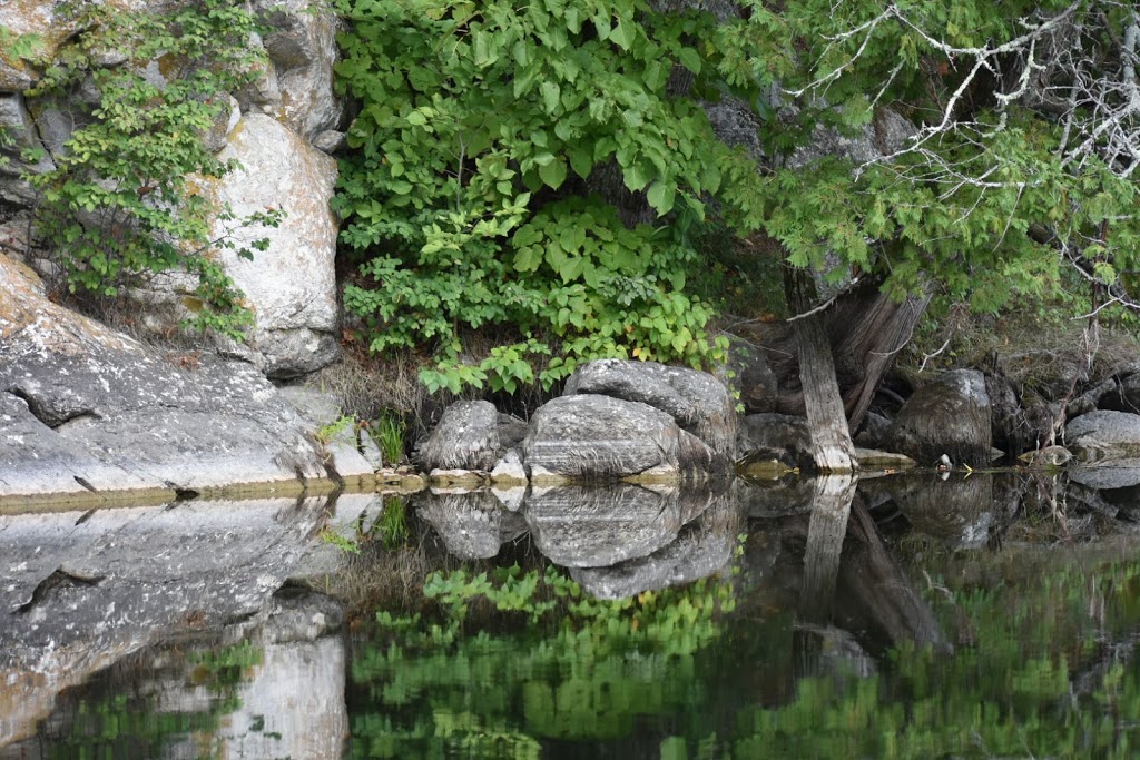 Ferguson Farm Campground | 154 Campground Sideroad, Renfrew, ON K7V 3Z7, Canada | Phone: (613) 432-5783