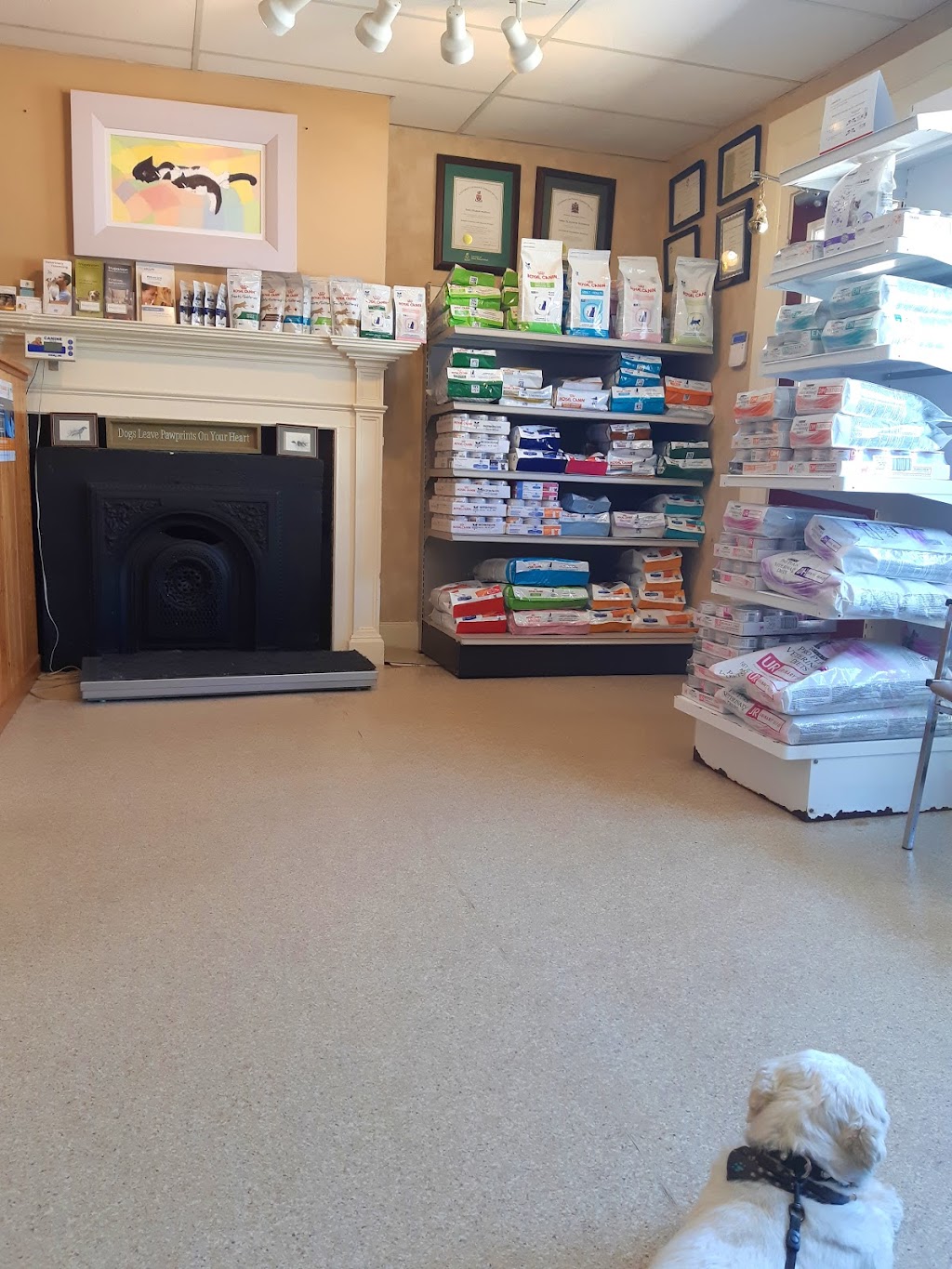 Bridgetown Animal Hospital | 5 Queen St, Bridgetown, NS B0S 1C0, Canada | Phone: (902) 665-4333