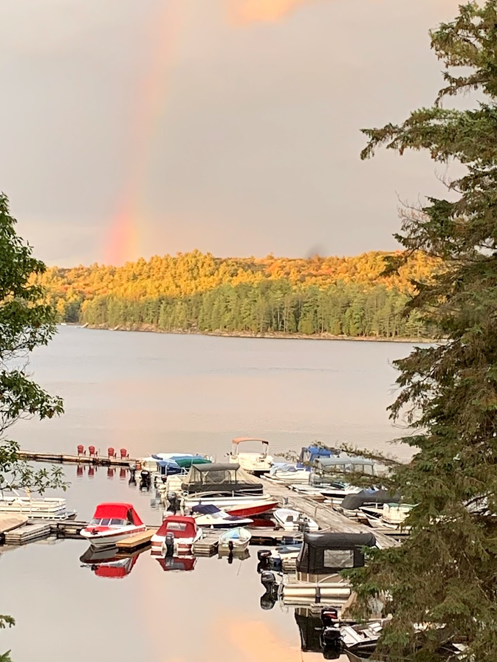 Little Hawk Resort & Marina | 2049 Little Hawk Lake Rd, Algonquin Highlands, ON K0M 1J2, Canada | Phone: (705) 489-2158