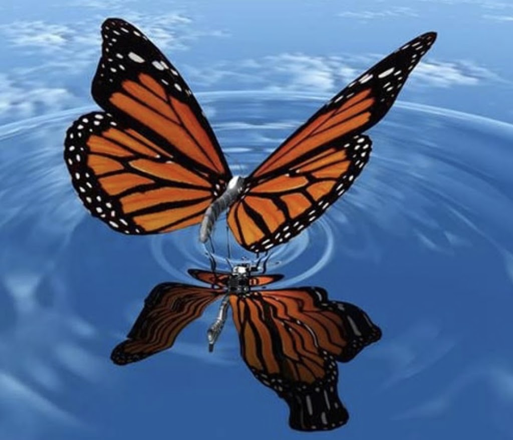 SoulSpectives Institute For Personal Transformation | Serenity Ln, Galiano Island, BC V0N 1P0, Canada | Phone: (604) 782-9197