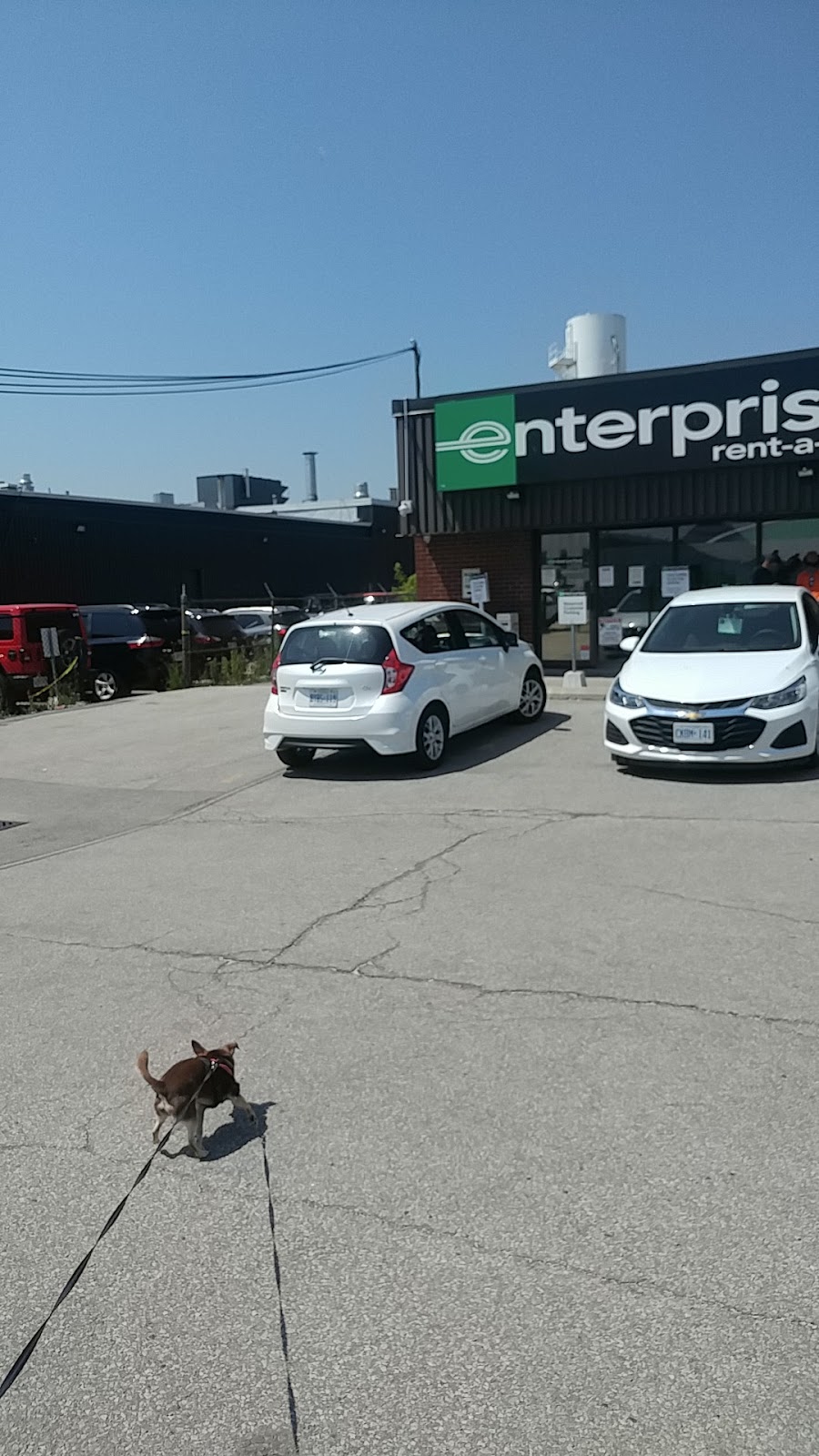 Enterprise Rent-A-Car | 562 Kipling Ave Ste 4, Etobicoke, ON M8Z 5E8, Canada | Phone: (416) 252-0123