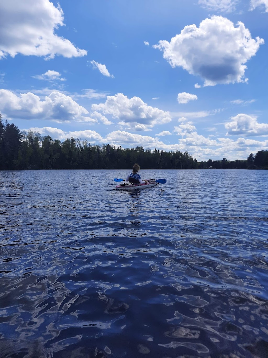Plage privée - Les Chalets Double K | 172 Av du Lac-à-la-Perchaude, Saint-Alexis-des-Monts, QC J0K 1V0, Canada | Phone: (819) 995-4879