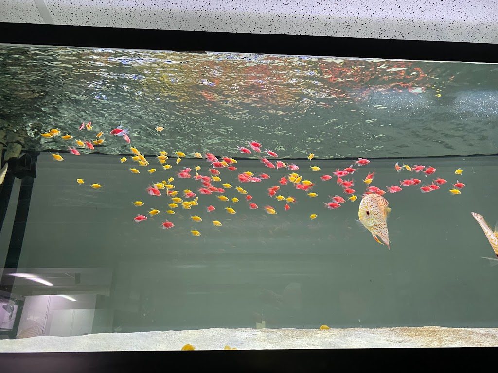 Poseidon Specialised Pet Store | 787 Boul. Louis-XIV, Québec, QC G1H 1A3, Canada | Phone: (418) 623-0821