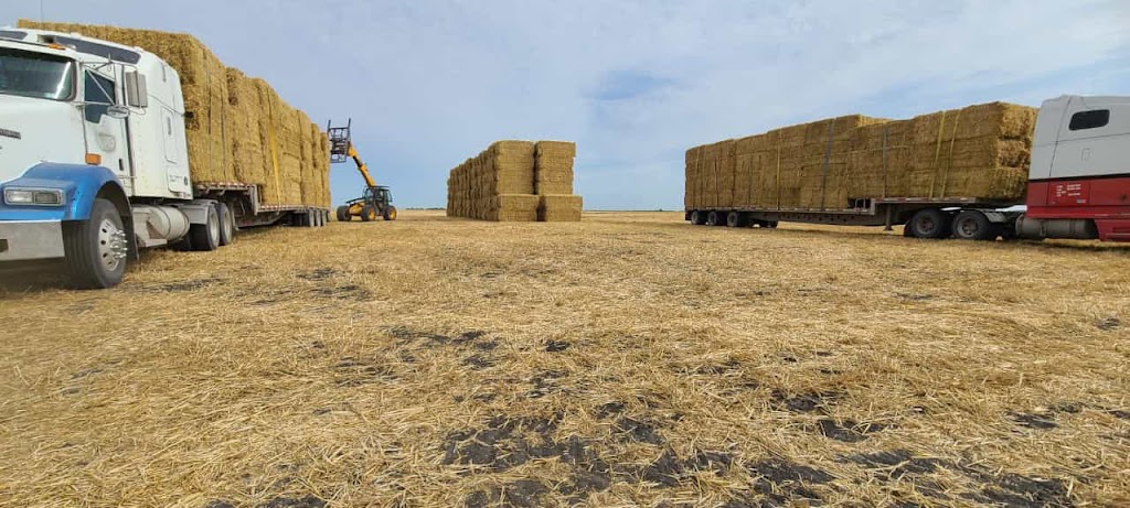 Avodah Farms | 12077 Rd 26 W, Thornhill, MB R6T 0B9, Canada | Phone: (204) 362-8675
