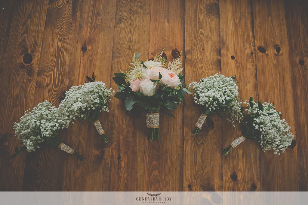 Genevieve Roy Photographe | 1182 Rang Ste Madeleine, Notre-Dame-de-la-Paix, QC J0V 1P0, Canada | Phone: (819) 983-1054
