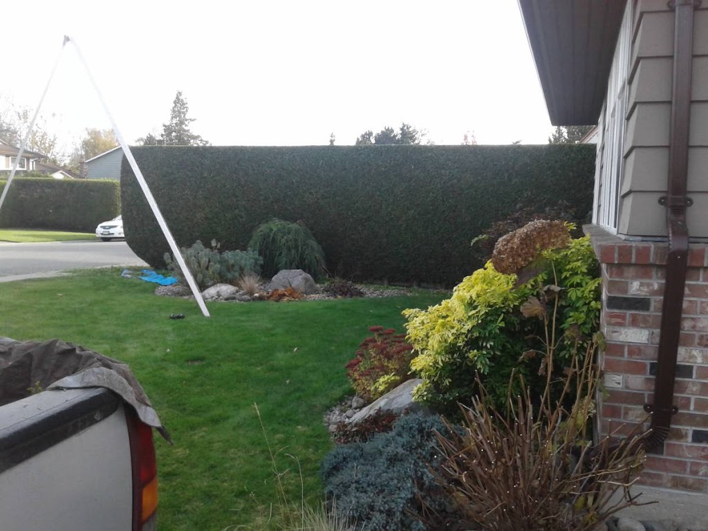 Hedge PRO Trimming | 231 Eighth St #304, New Westminster, BC V3M 3P8, Canada | Phone: (604) 417-4211