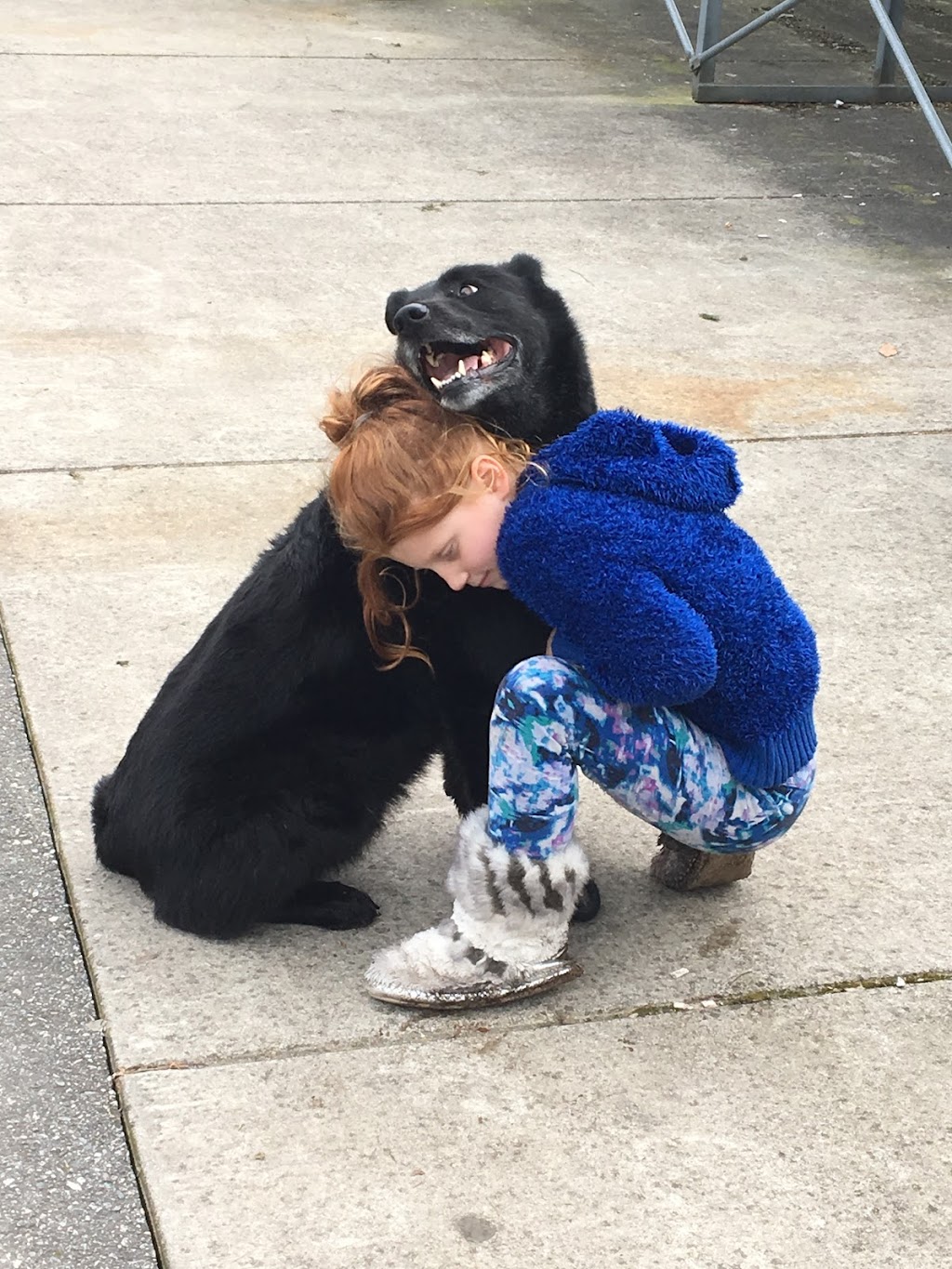 DELTA PET CARE | 5309 9 Ave, Delta, BC V4M 1V8, Canada | Phone: (604) 670-4171