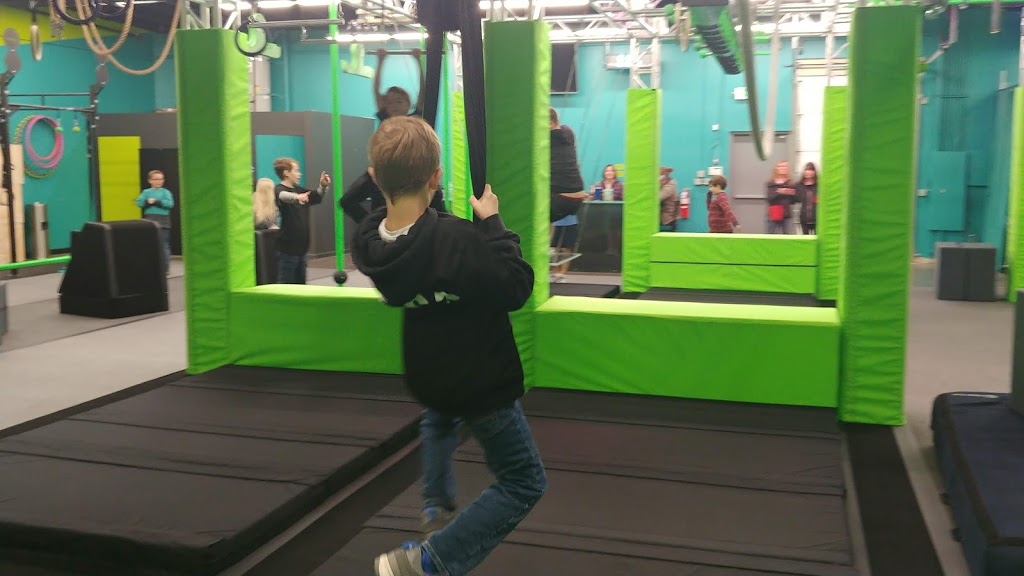 Life Force Ninja | 440 W Horton Rd, Bellingham, WA 98226, USA | Phone: (360) 738-4724