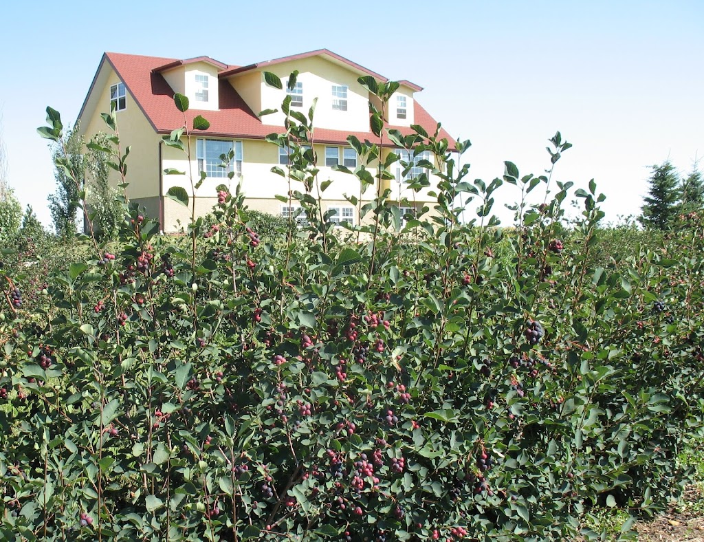 Prairie Berry YYC | 225036 RR 282, AB T1X 0H9, Canada | Phone: (403) 819-4664