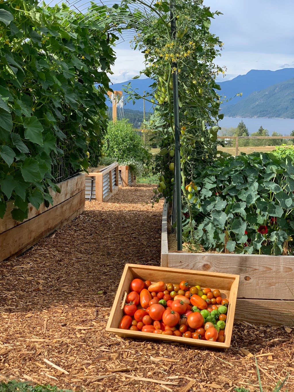 Heart & Sol Coastal Farm | 6282 Crowston Rd, Sechelt, BC V0N 3A5, Canada | Phone: (604) 710-4992