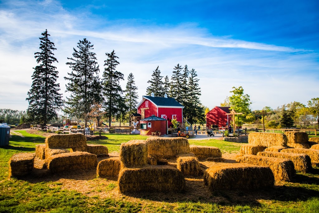 Snyders Family Farm | 936685 Blenheim Rd, Bright, ON N0J 1B0, Canada | Phone: (519) 632-7356