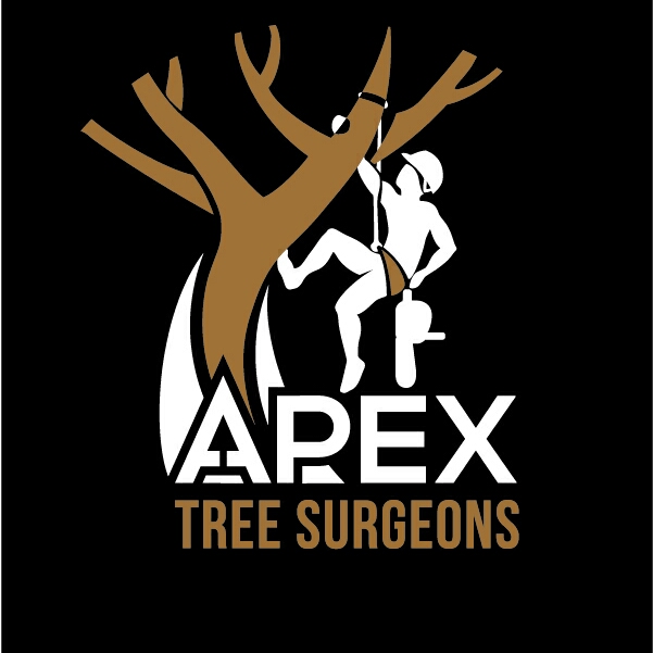 Apex Tree Surgeons - Tree Services Orillia | 4 Cheslock Cres, Orillia, ON L0K 2G0, Canada | Phone: (705) 955-7424