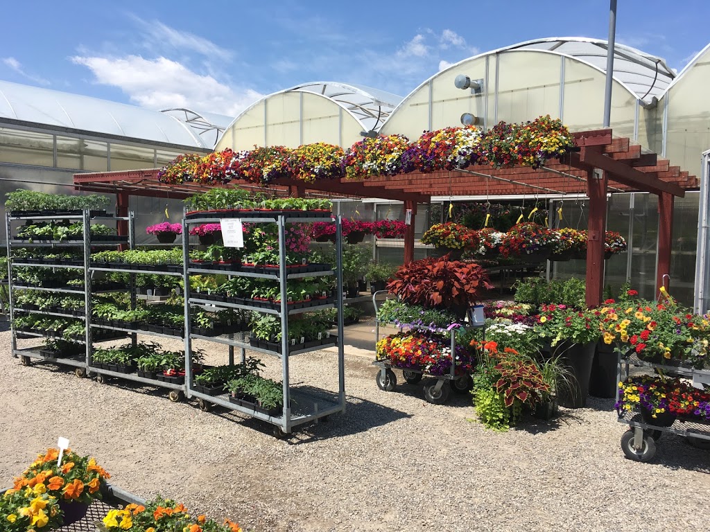 Arnold’s Greenhouse | Halton Hills, ON, Canada