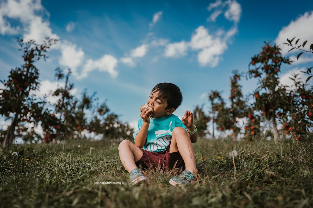 Joey Ancheta Photography | 9 Pawley Pl, Selkirk, MB R1A 1X8, Canada | Phone: (204) 485-8115