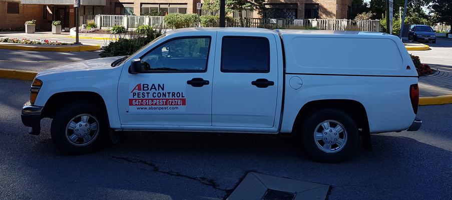 Aban Pest Control Inc. | 82 Shaftsbury Ave, Richmond Hill, ON L4C 0P9, Canada | Phone: (647) 518-7378