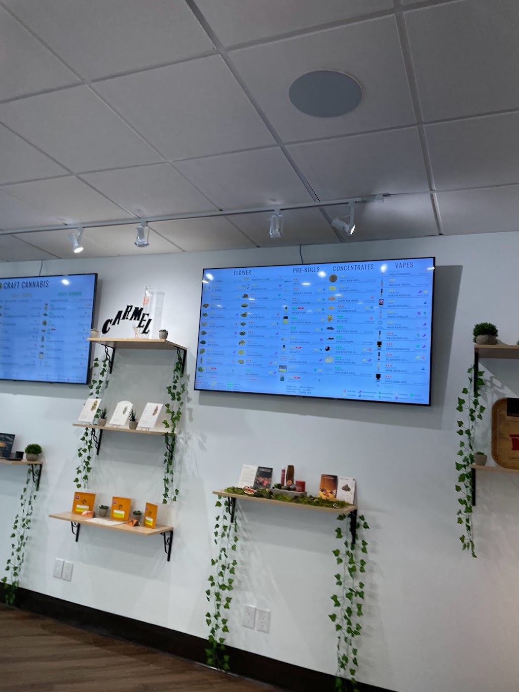 Elevated Minds Cannabis | 570 Hwy 8 Unit 2, Stoney Creek, ON L8G 4M2, Canada | Phone: (905) 930-8511