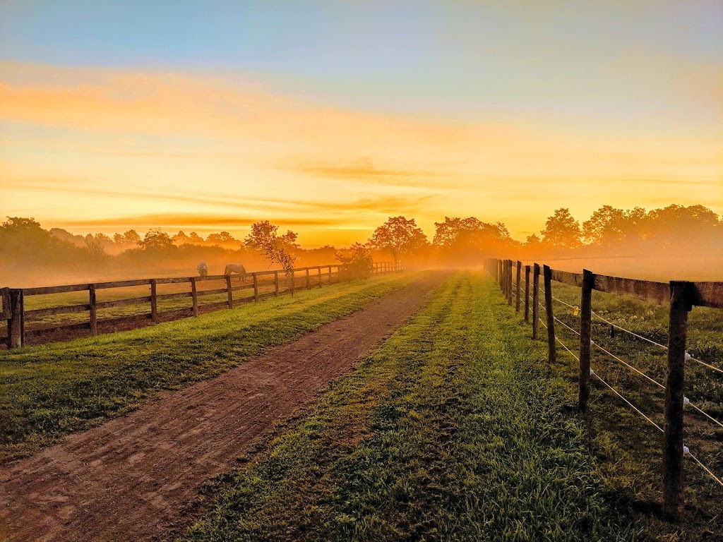 Four Corners Equestrian | 10176 Belmont Rd, St Thomas, ON N5P 3T3, Canada | Phone: (519) 902-8584