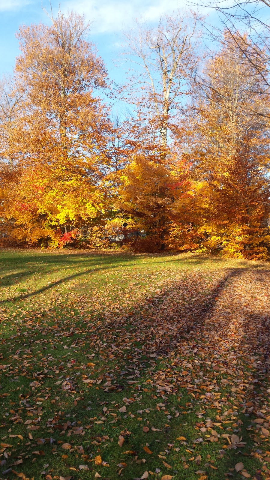 Parc Armand-Charbonneau | 3430 Rue Maheu, Trois-Rivières, QC G9B 1X4, Canada