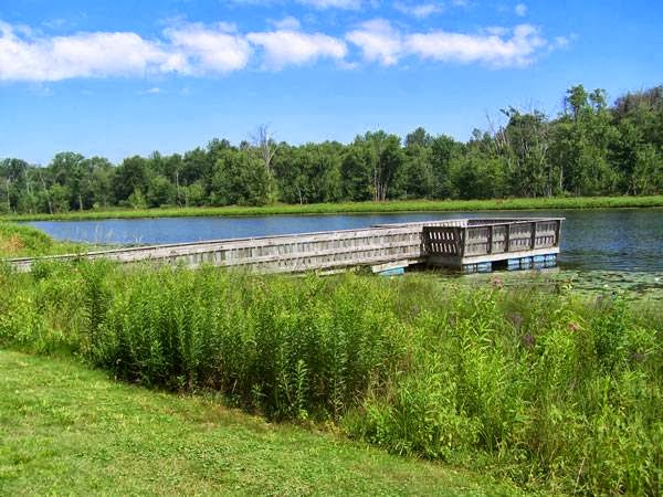 Lake Whittaker Conservation Area | campground | 5840 Whittaker Lane, Harrietsville, ON N0L 1B0, Canada | 5192693592 OR +1 519-269-3592