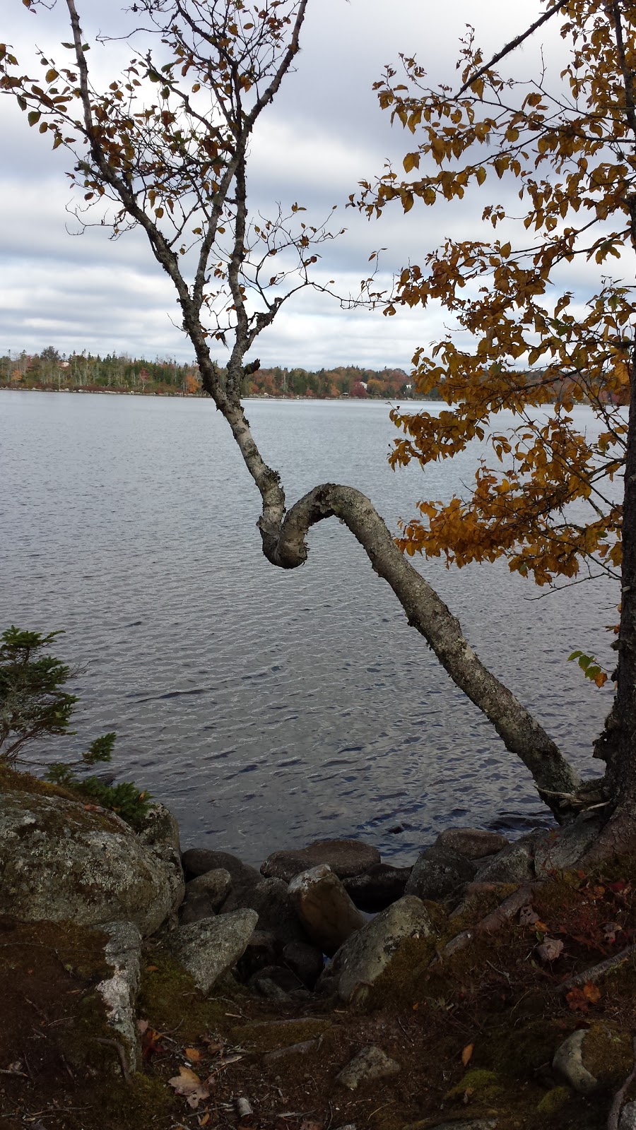 Campbell Point Beach Park | 187 Lakewood Dr, Brookside, NS B3T 1S6, Canada