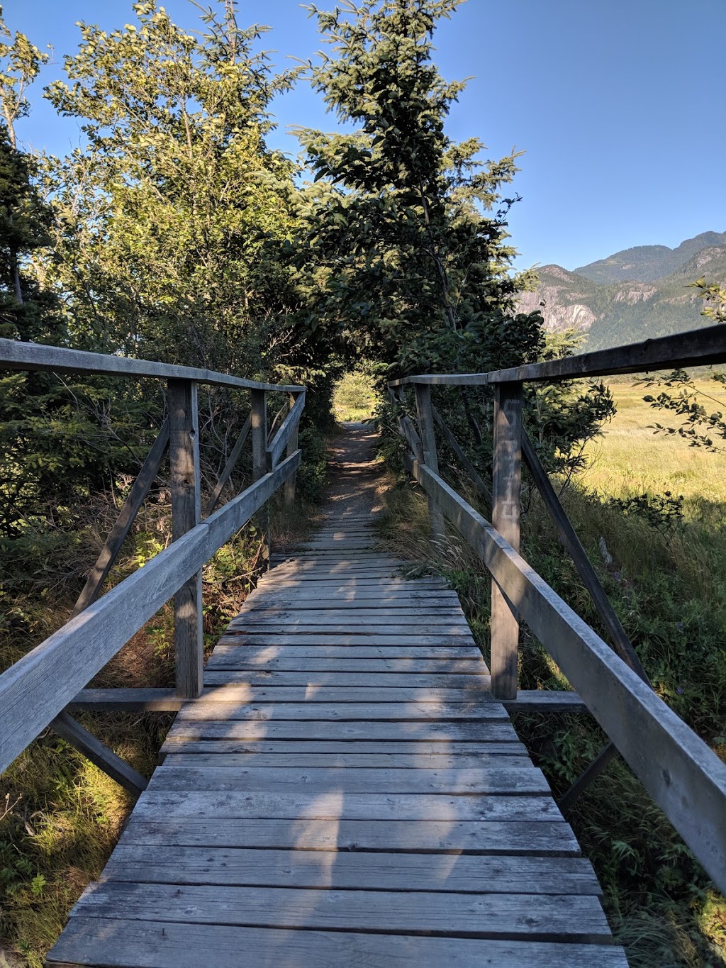 Estuary Chelem Trail | Squamish, BC V8B, Canada