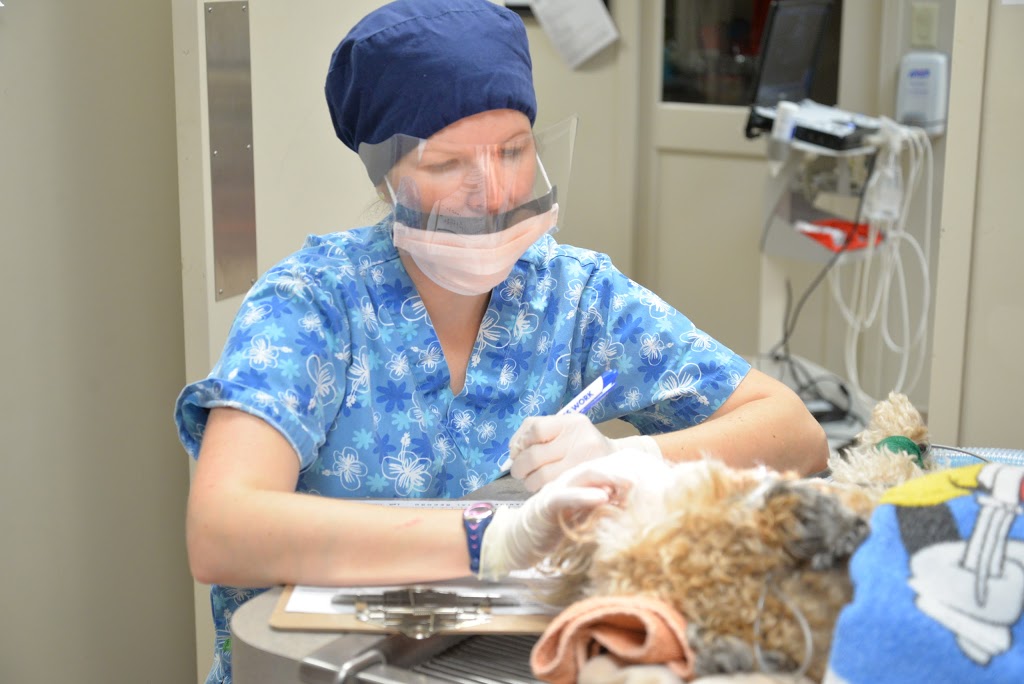 Cedarview Animal Hospital | 4100 Strandherd Dr #106, Nepean, ON K2J 0V2, Canada | Phone: (613) 825-5001