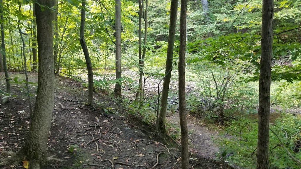 Niagara Royalton Ravine Park | Gasport Rd, Gasport, NY 14067, USA | Phone: (716) 772-2016