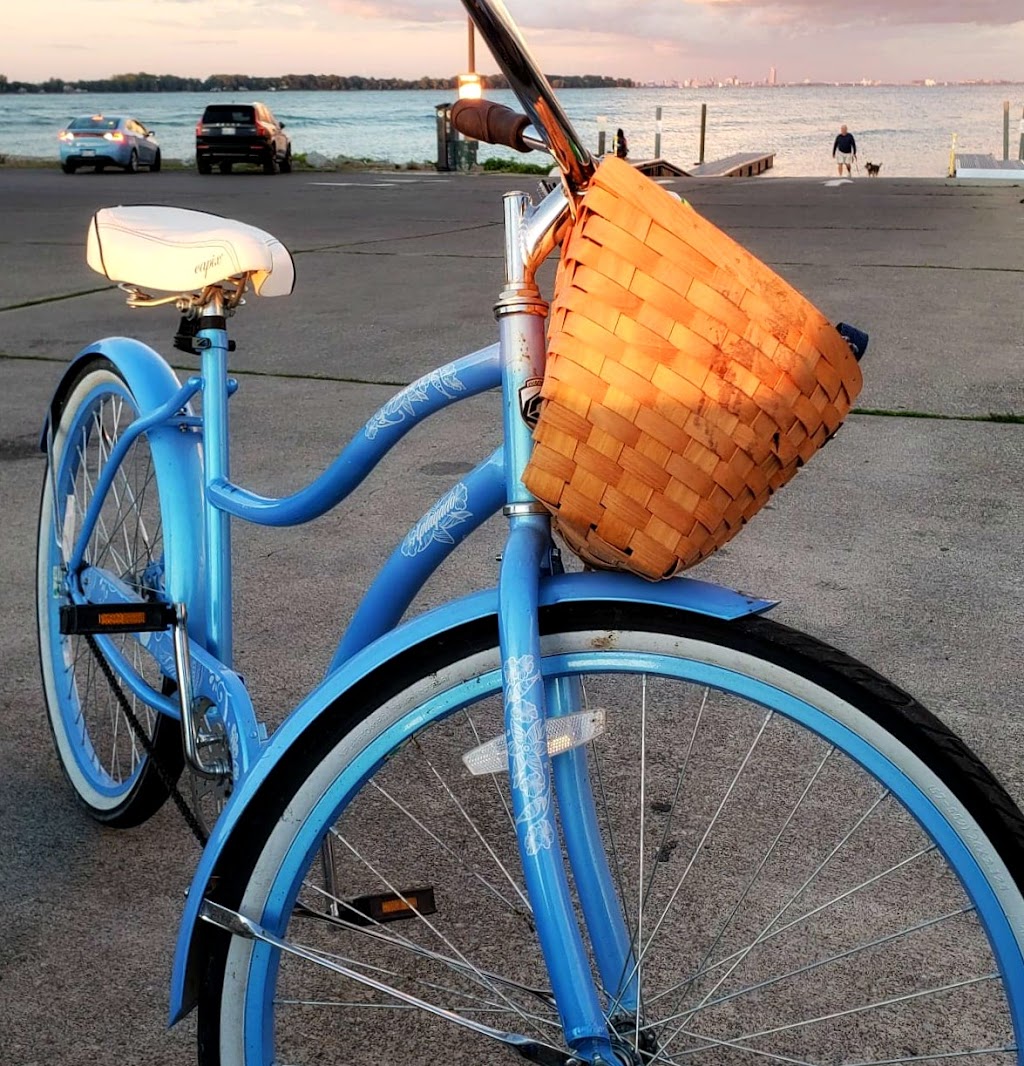 Steves Place Bicycles & Repair | 181 Niagara Blvd, Fort Erie, ON L2A 3G7, Canada | Phone: (905) 871-7517