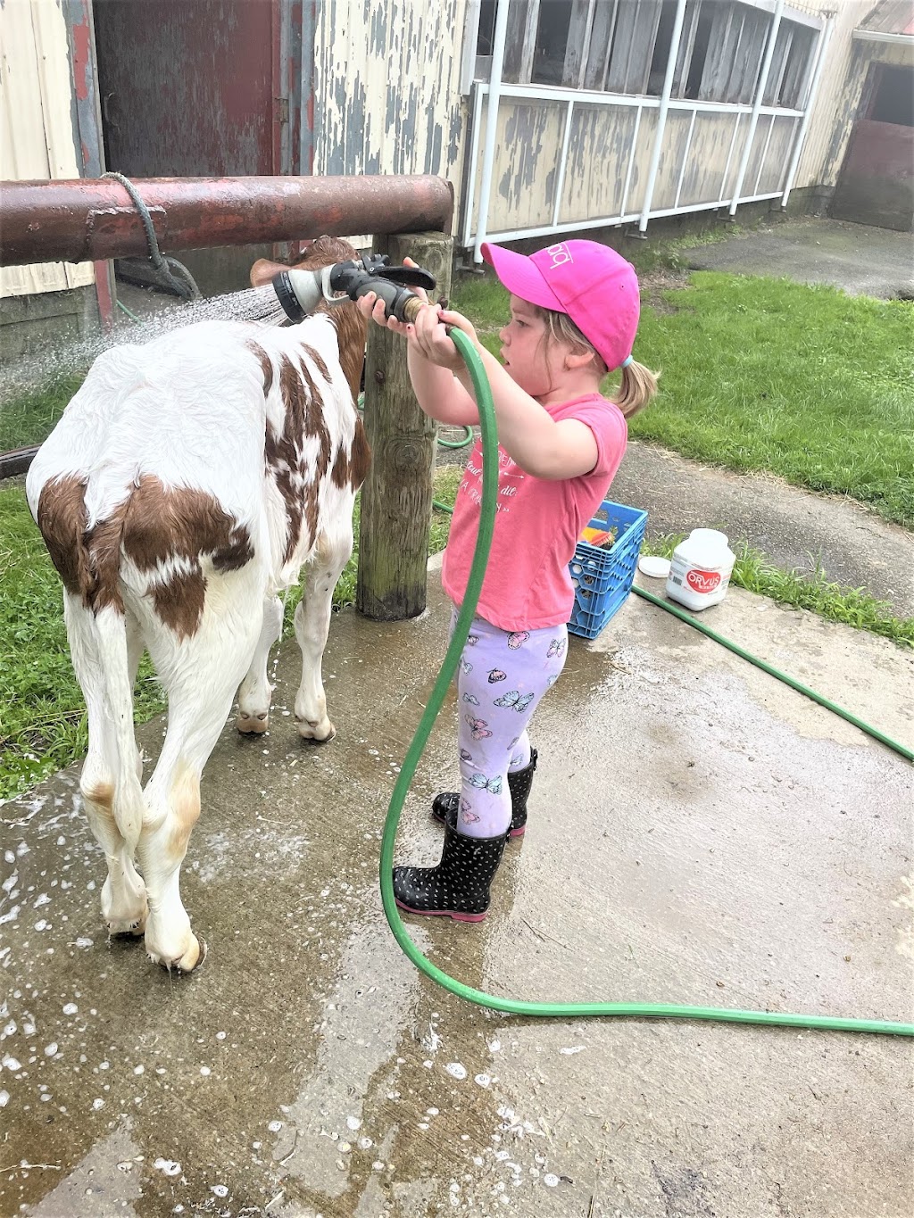 Gemme mon été à la ferme | 318 Av. des Érables, Brigham, QC J2K 0H1, Canada | Phone: (450) 522-9018