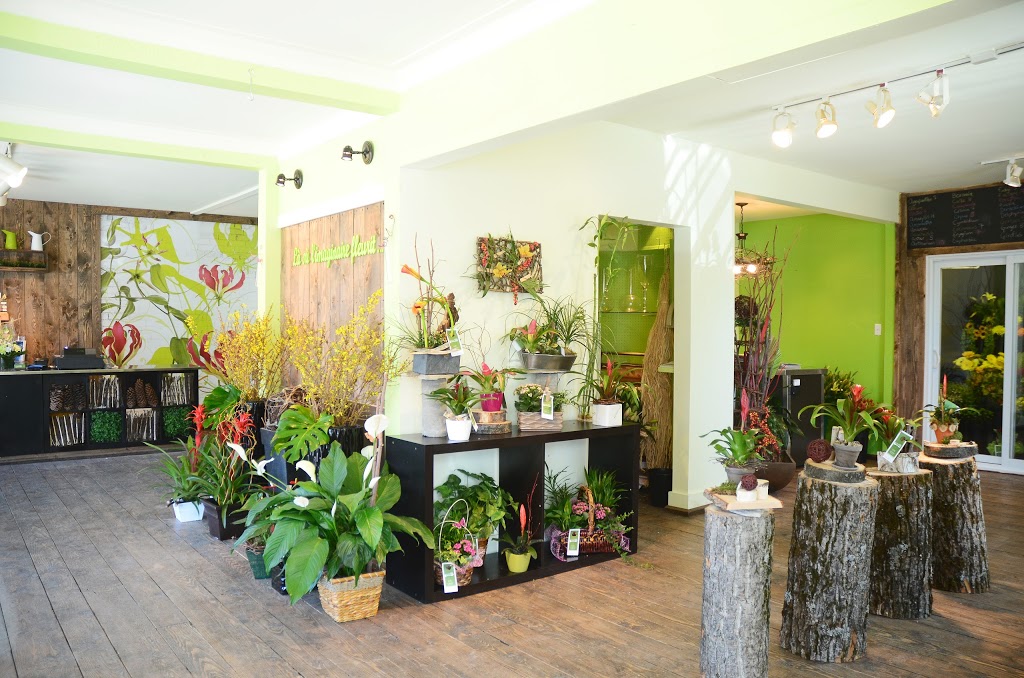 Solange Roy Fleuriste Inc | 419 Rue Labelle, Saint-Jérôme, QC J7Z 5L4, Canada | Phone: (450) 438-5321