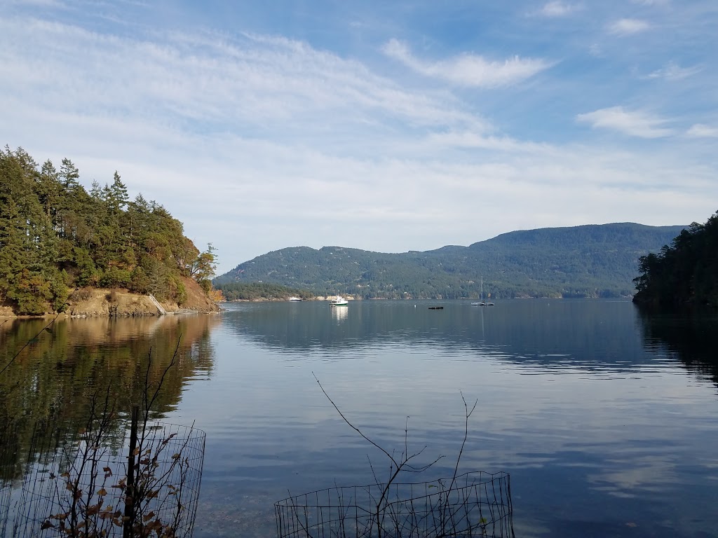 Judd Cove Preserve | Judd Cove Rd, Eastsound, WA 98245, USA