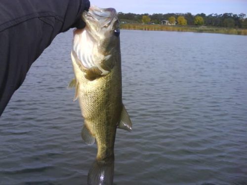 Fishing Hastings | 15 Gladstone St W, Madoc, ON K0K 2K0, Canada | Phone: (613) 473-5452