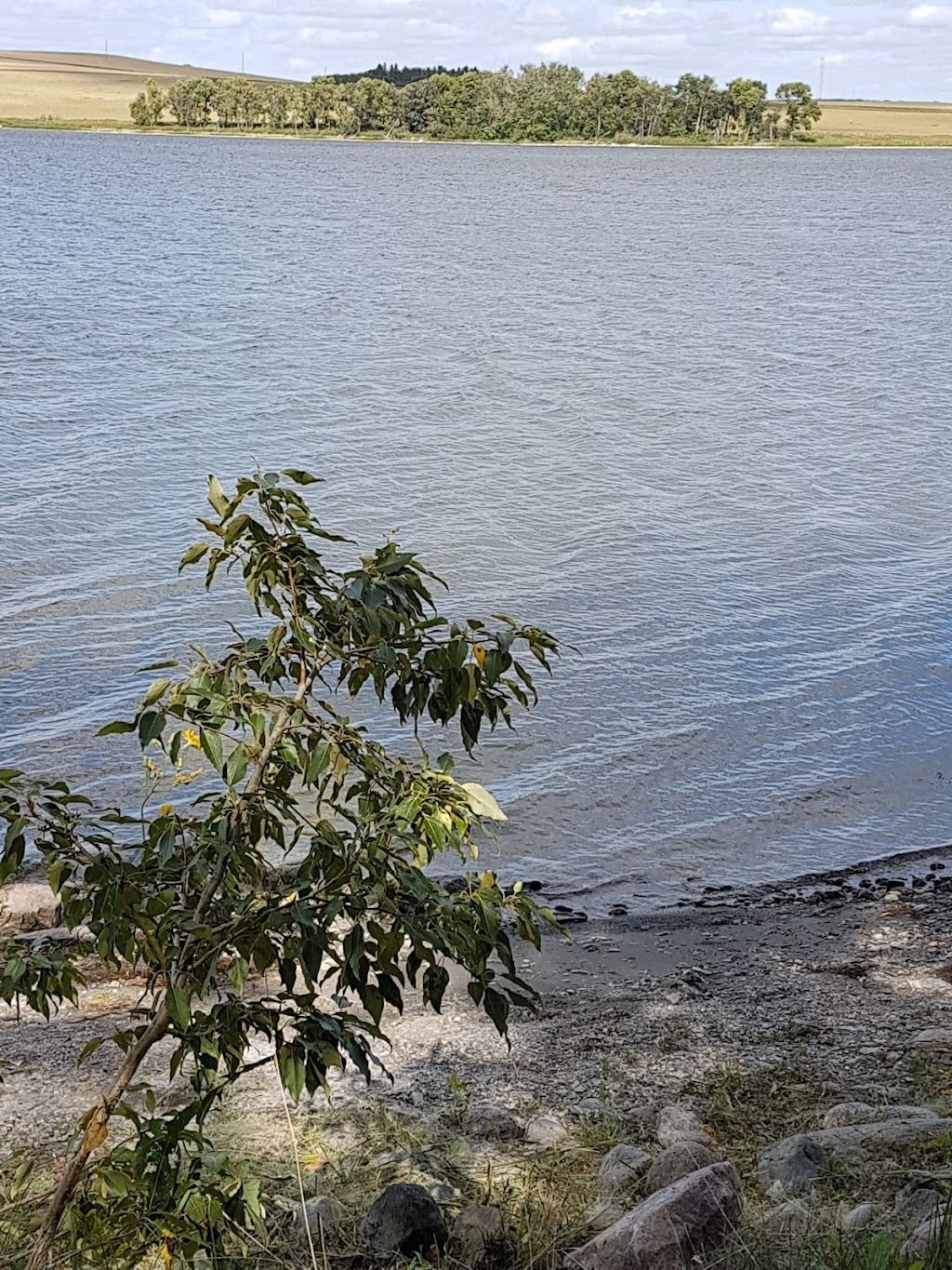 Lake 7 Resort | Unnamed Road, 0G0, Bruxelles, MB R0G 0G0, Canada | Phone: (204) 208-0072