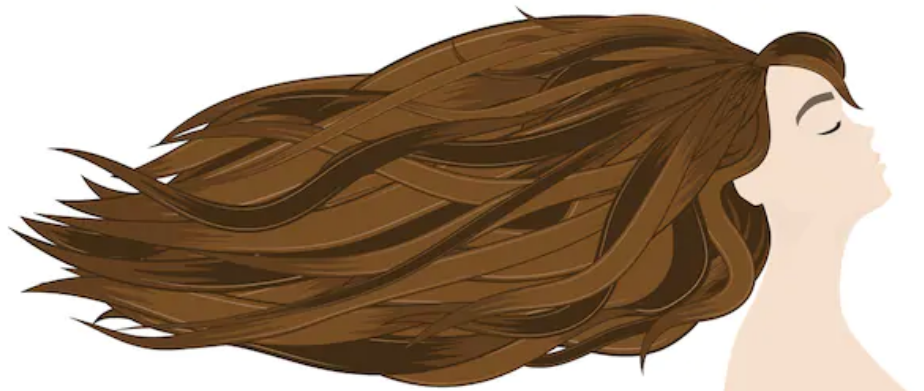 Extensions By Hayley M | 132 Elaine Dr, Orangeville, ON L9W 4S1, Canada | Phone: (519) 278-4033