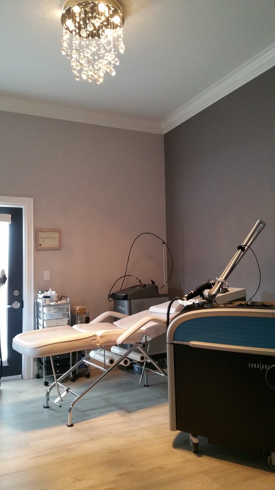 Elaines Medical Aesthetics | 580 Lancaster St W, Kitchener, ON N2K 1M3, Canada | Phone: (226) 750-8775
