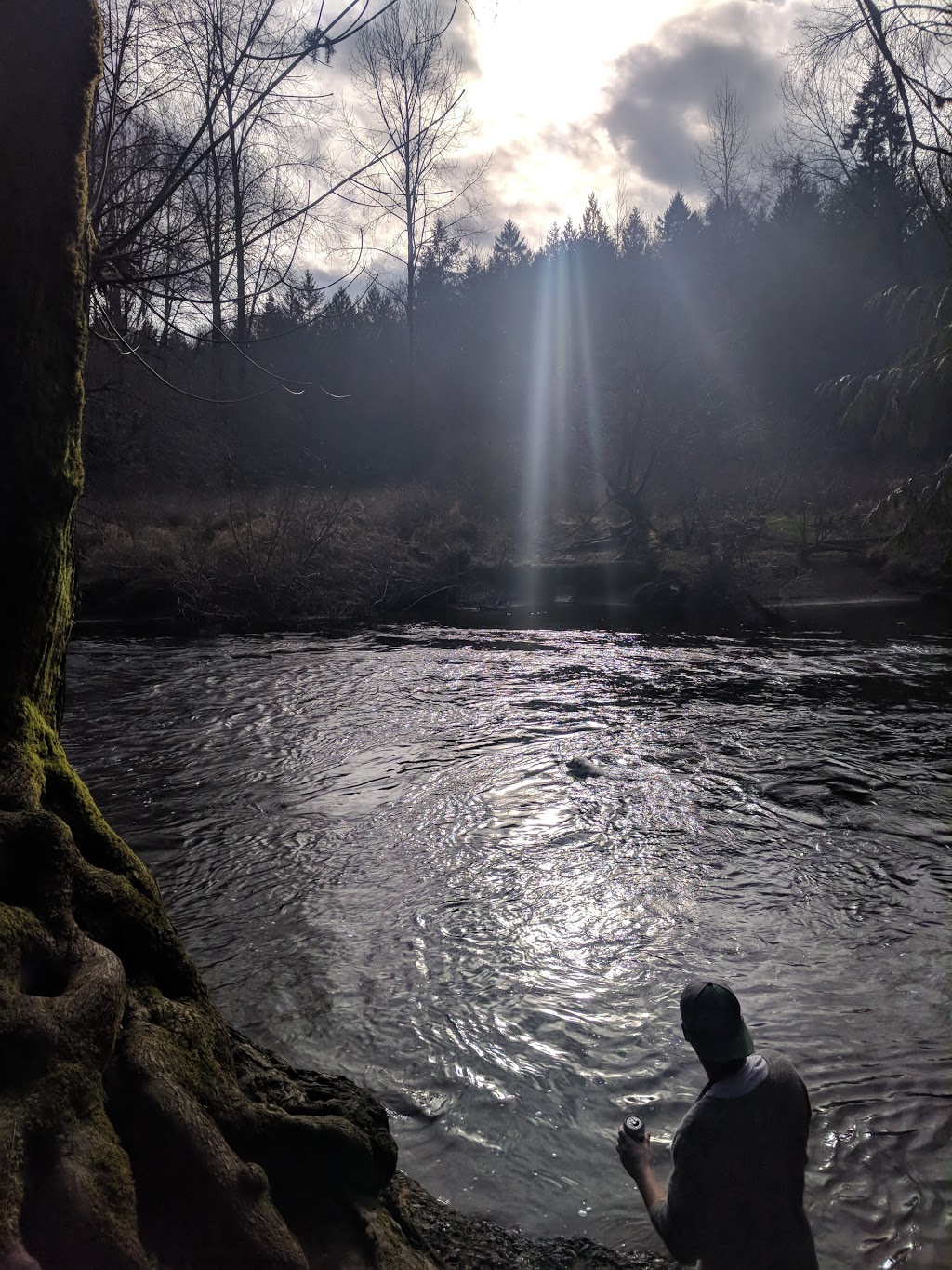 Bright Angel Regional Park | 4528 Tigwell Rd, Duncan, BC V9L 6N2, Canada | Phone: (250) 746-2500