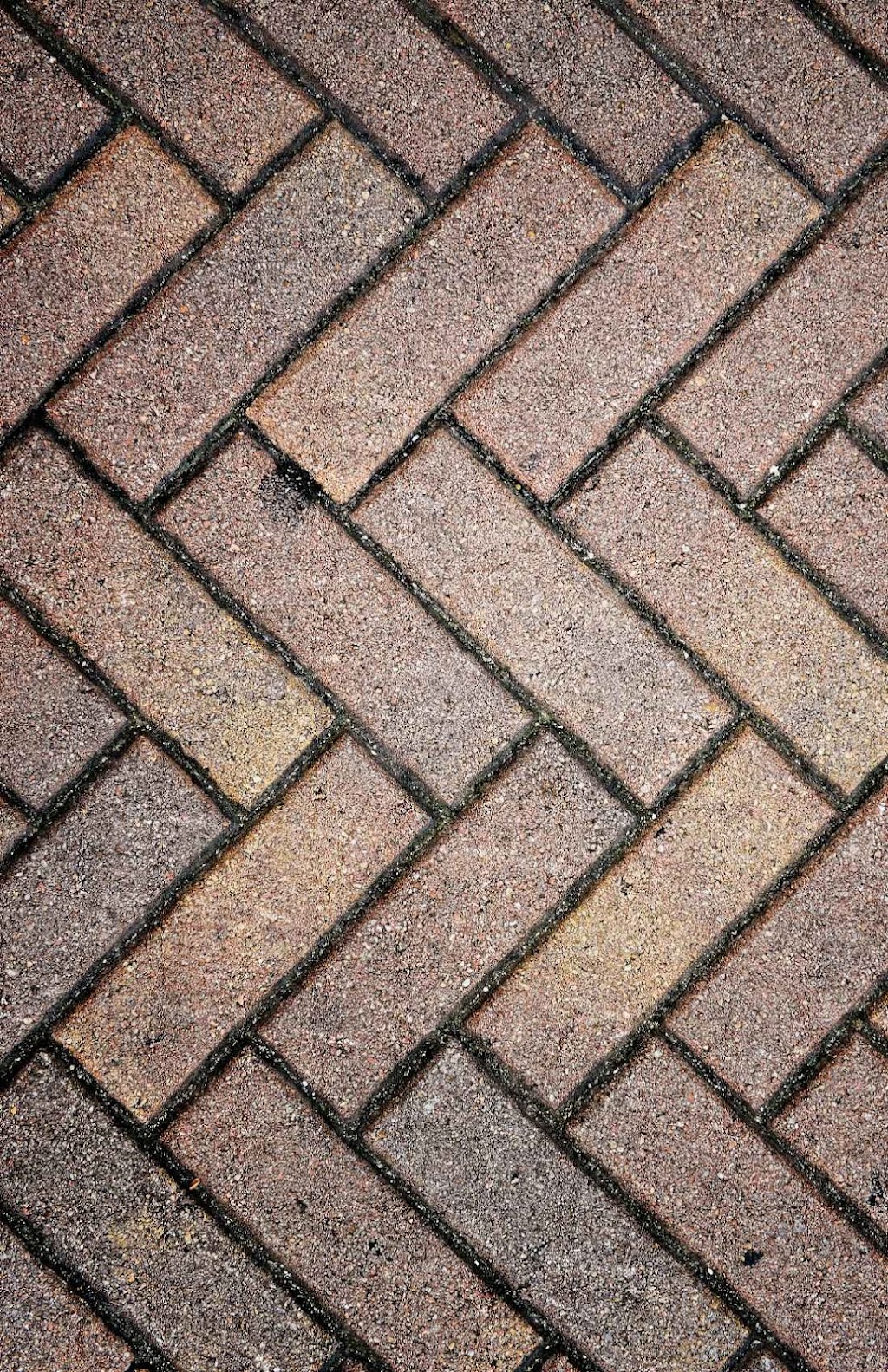 Hamilton Landscaping HeyTurf | 709 Scenic Dr, Hamilton, ON L9C 1H4, Canada | Phone: (365) 654-3698