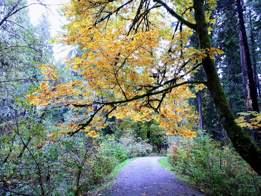 Chelsea Park | 1277 Chelsea Ave, Port Coquitlam, BC V3B 7J9, Canada | Phone: (604) 927-4386